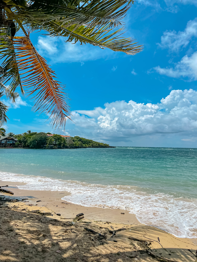Tropical Vacay Packing List