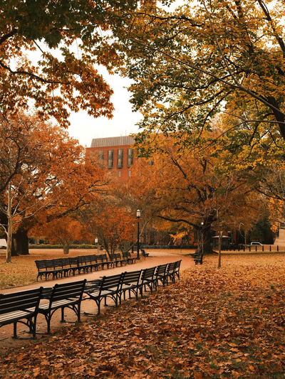First Look At Fall