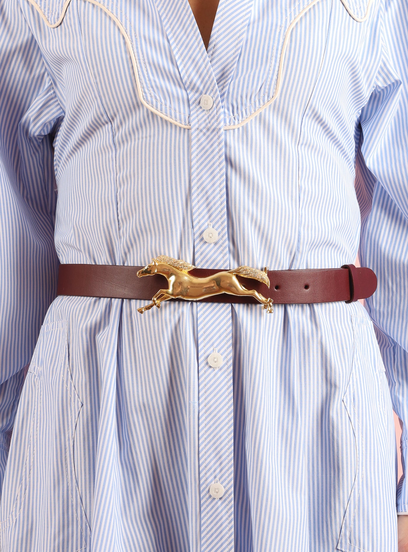 Whispers of the Tarot Belt