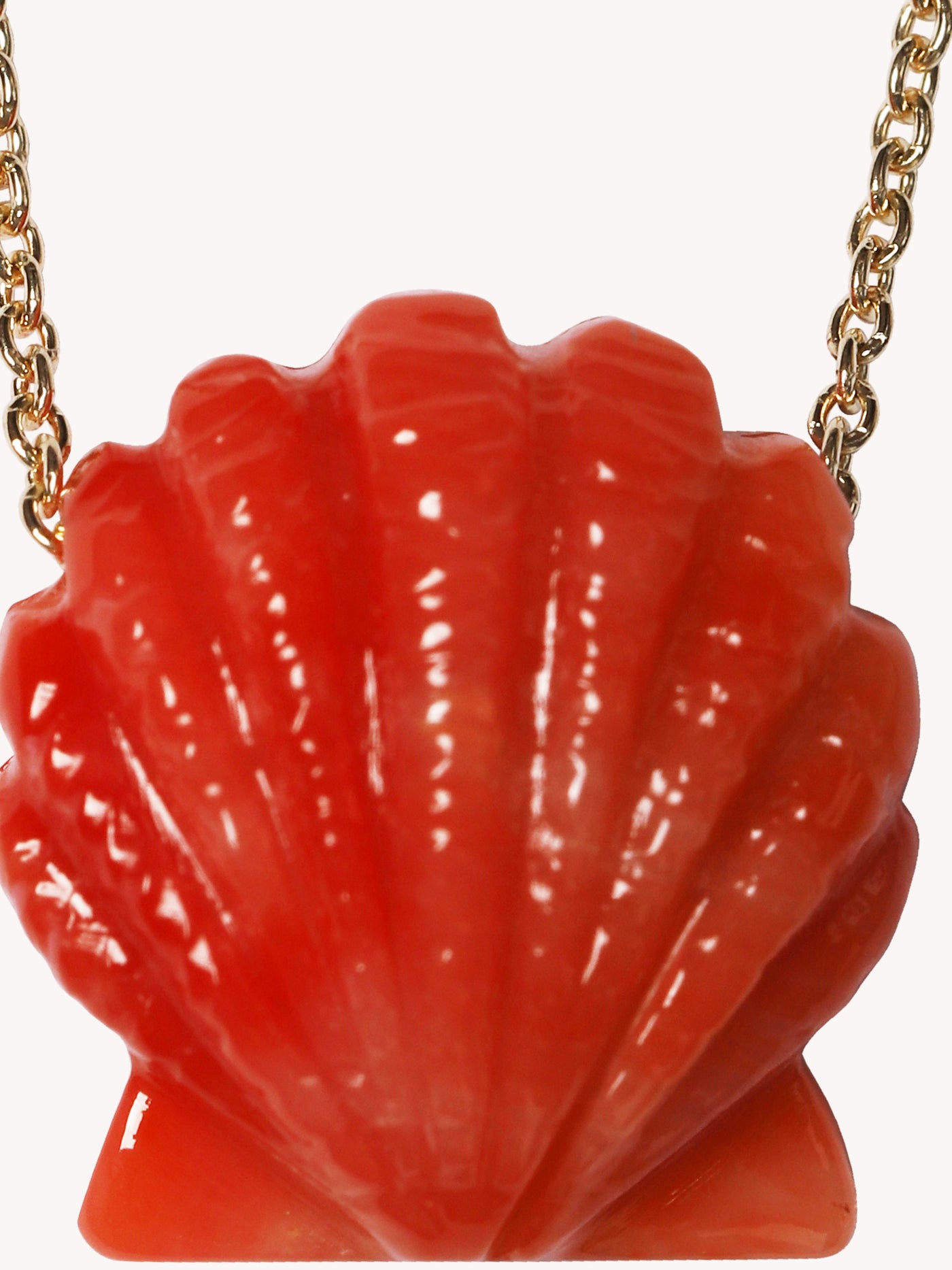 Concha Shell Necklace