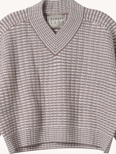 Cropped Rickrack V-Neck Sweater