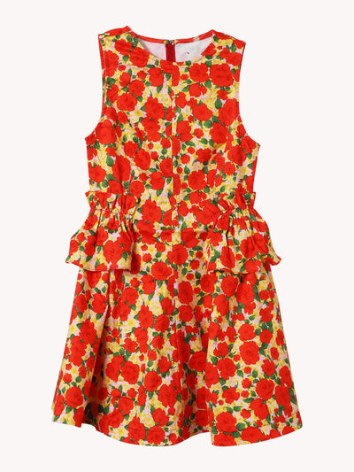 Gabriela Dress