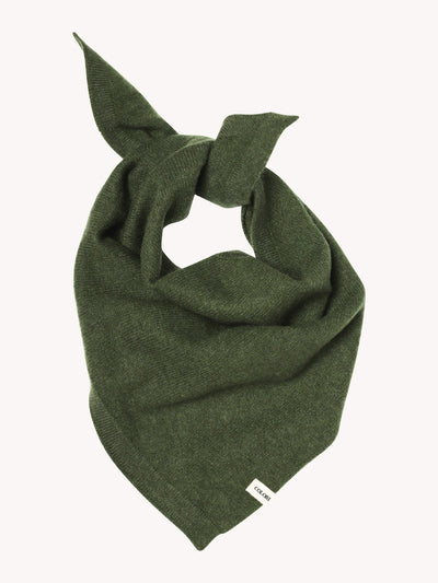 Small Triangle Bandana