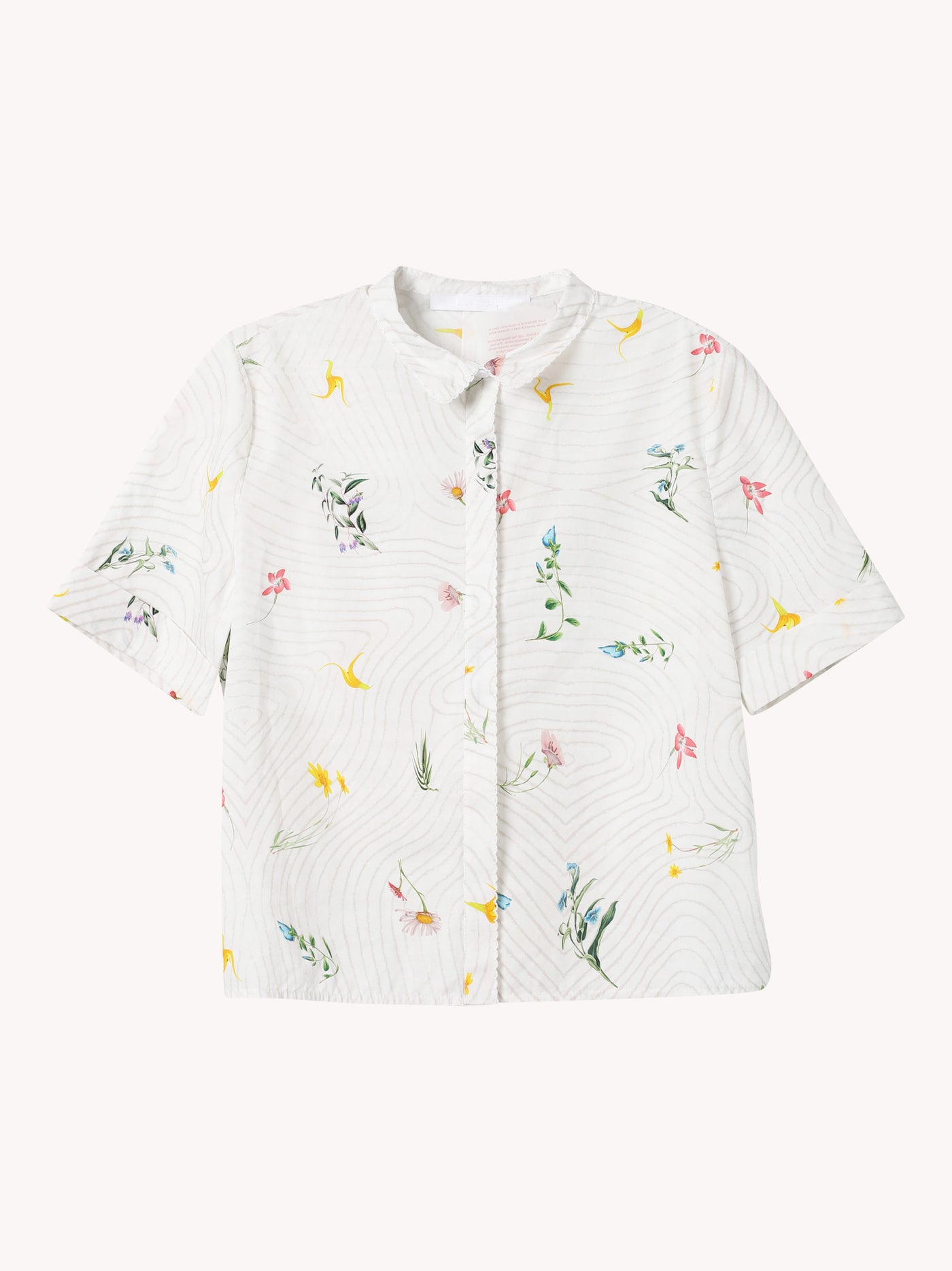 Ray Blouse