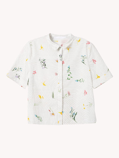 Ray Blouse