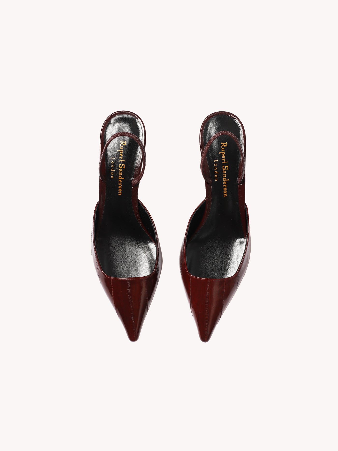 AMINTA HEEL
