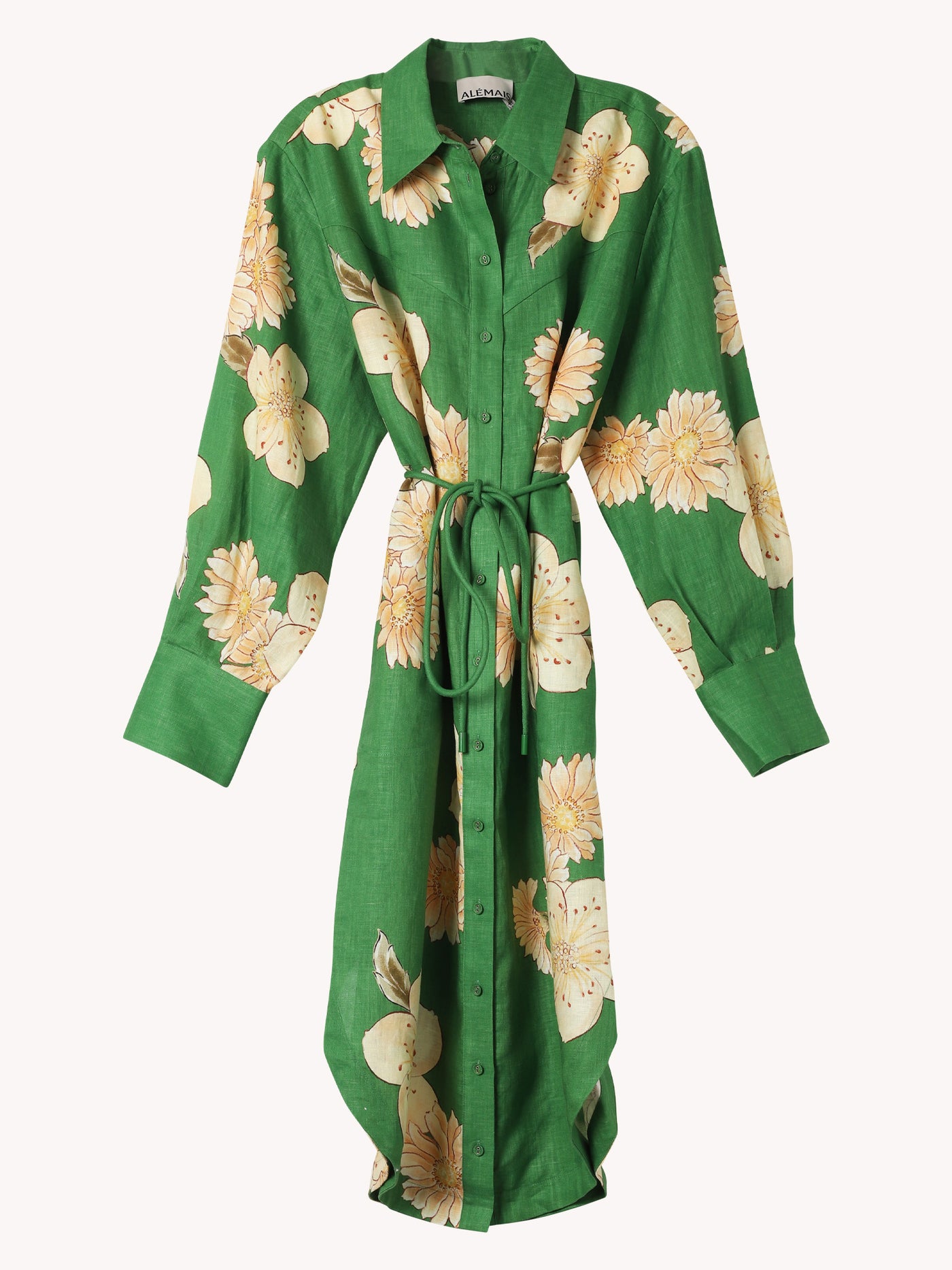Sage Shirtdress