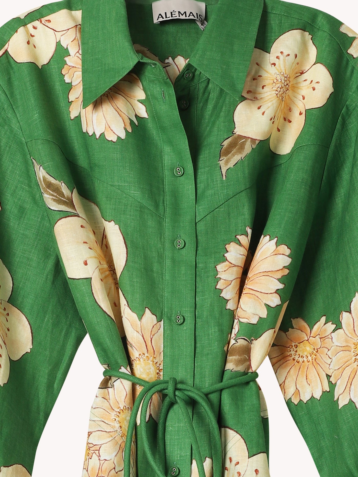 Sage Shirtdress