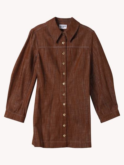 Mutton Sleeve Mini Dress
