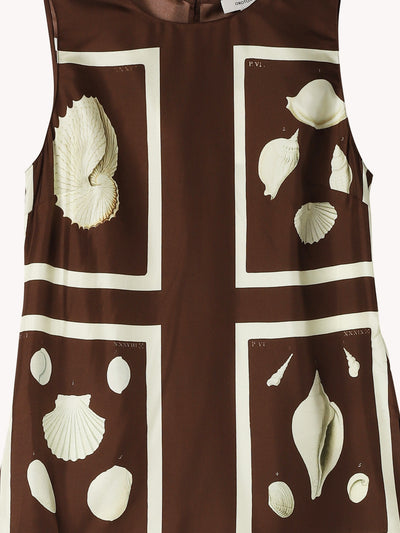 Graphic Shell Tunic Top