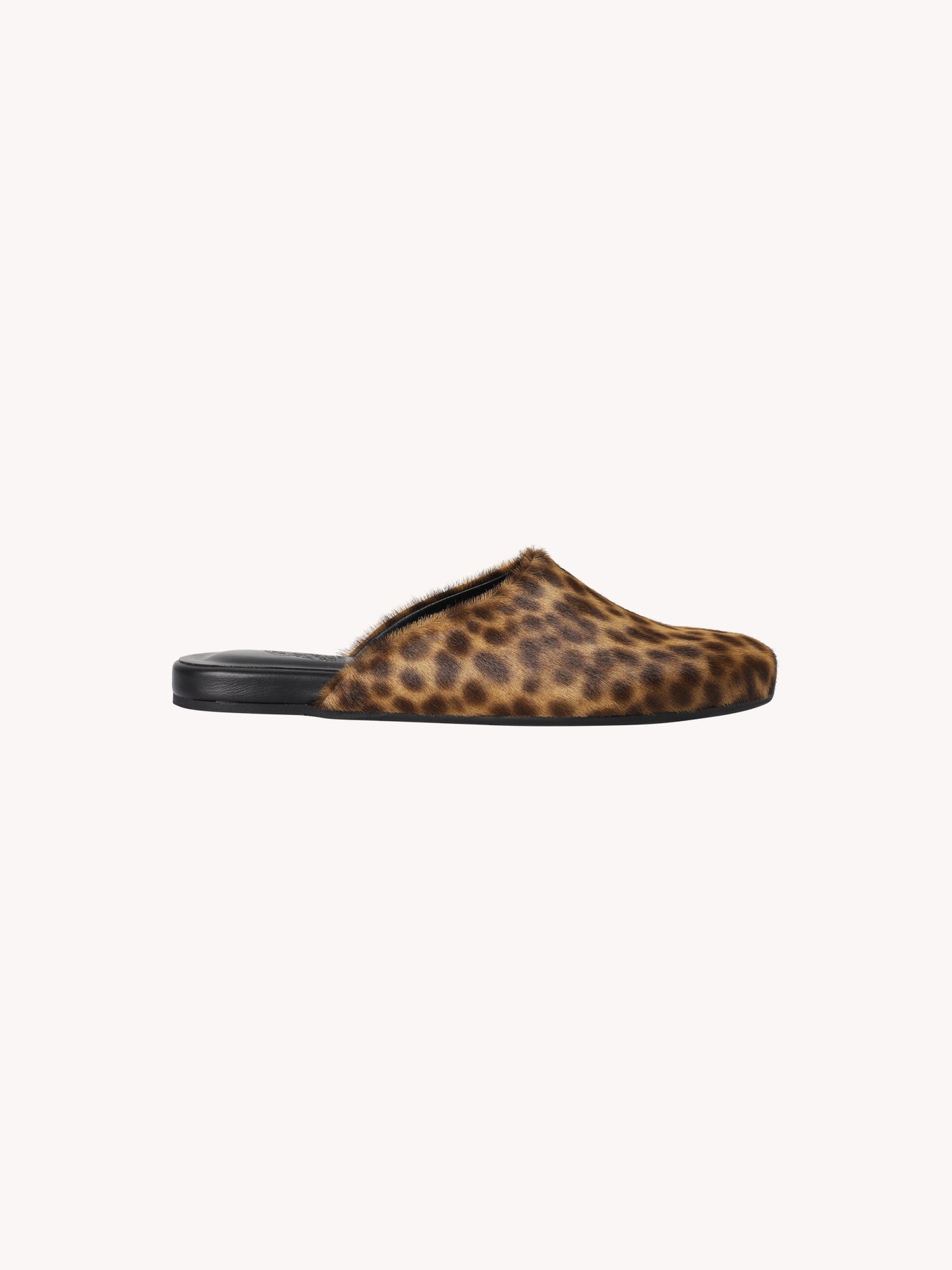 The Slipper