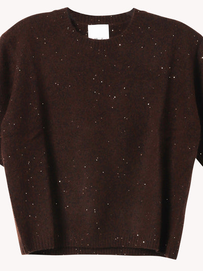 Short Sleeve Sparkle RD Sweater