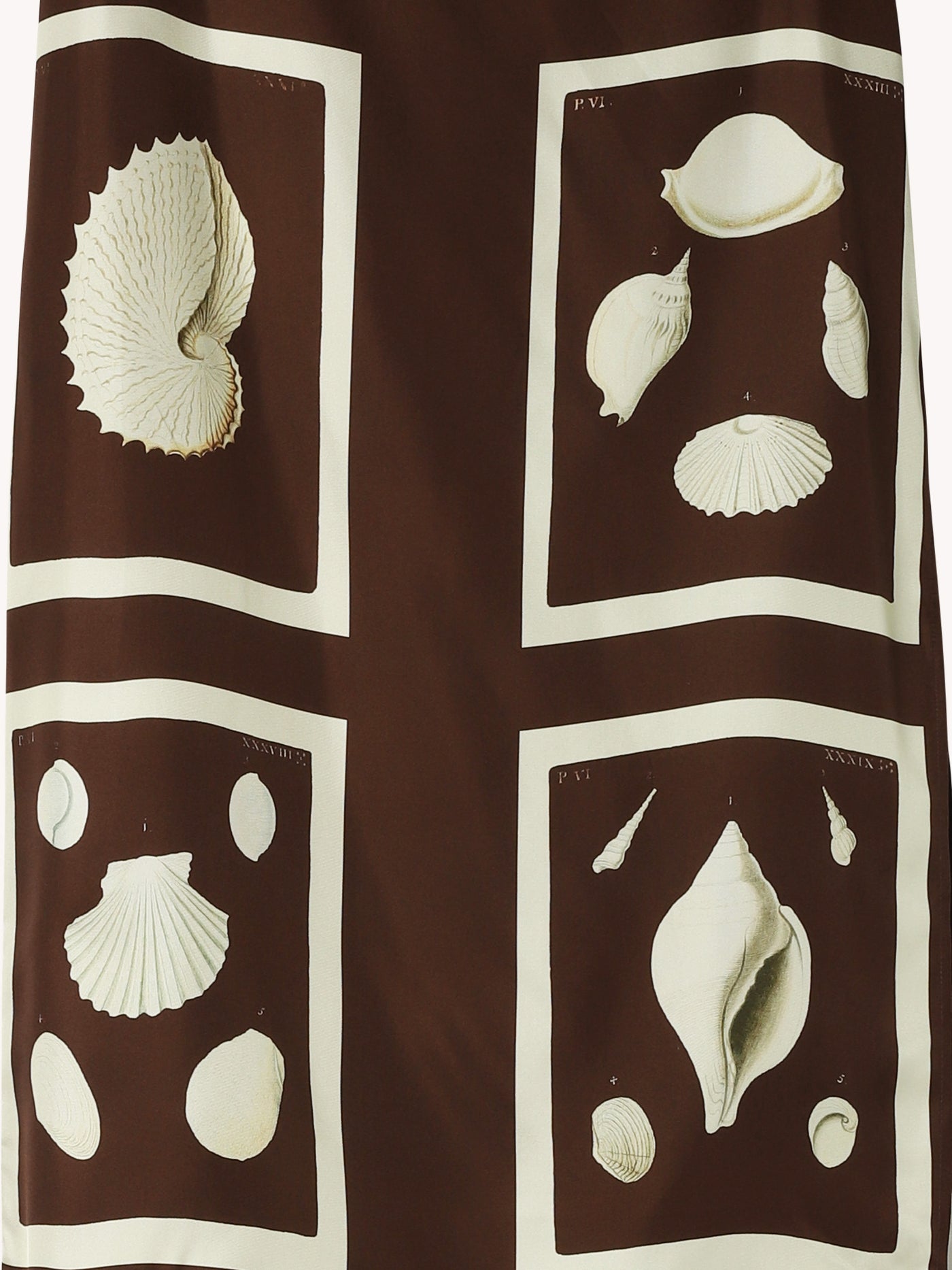 Graphic Shell Slip Skirt