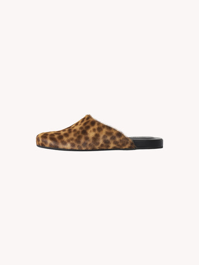 The Slipper