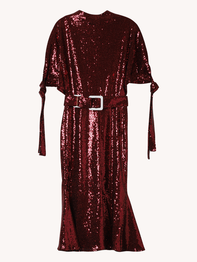 Sequin Pedernal Dress