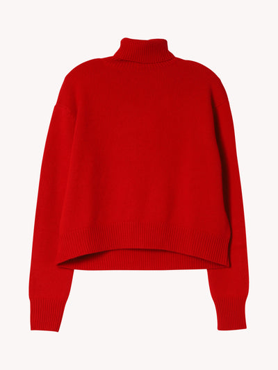 Turtleneck Sweater