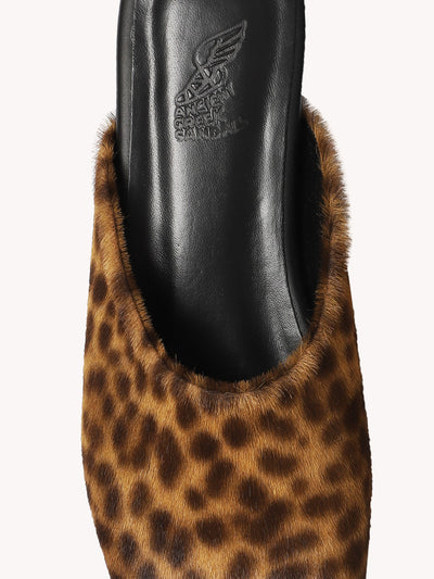 The Slipper