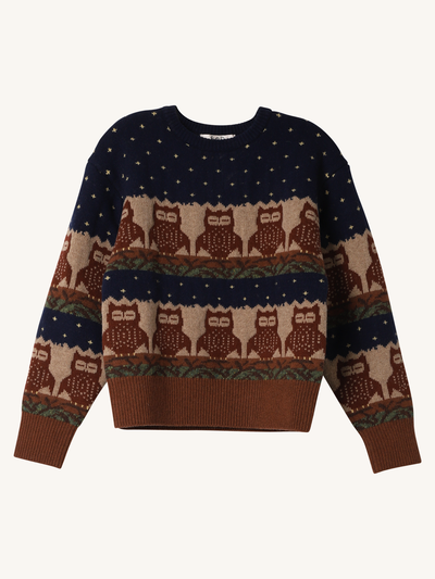 Paz Owl Sweater