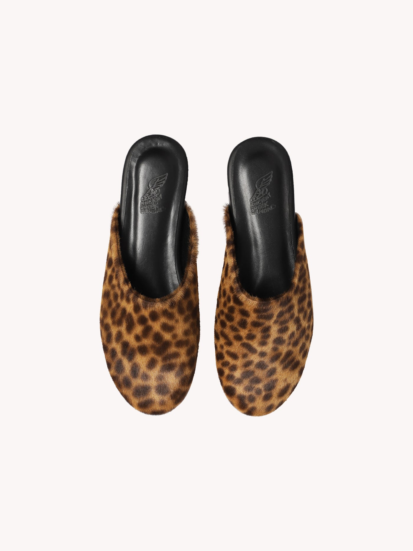 The Slipper