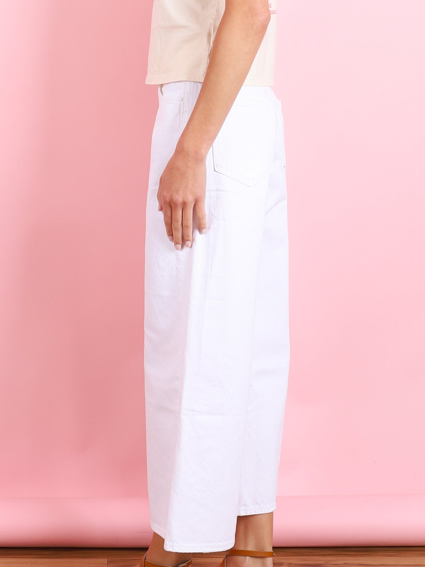 THE DITCH ROLLER ZIP ANKLE DENIM IN PICKET FENCE