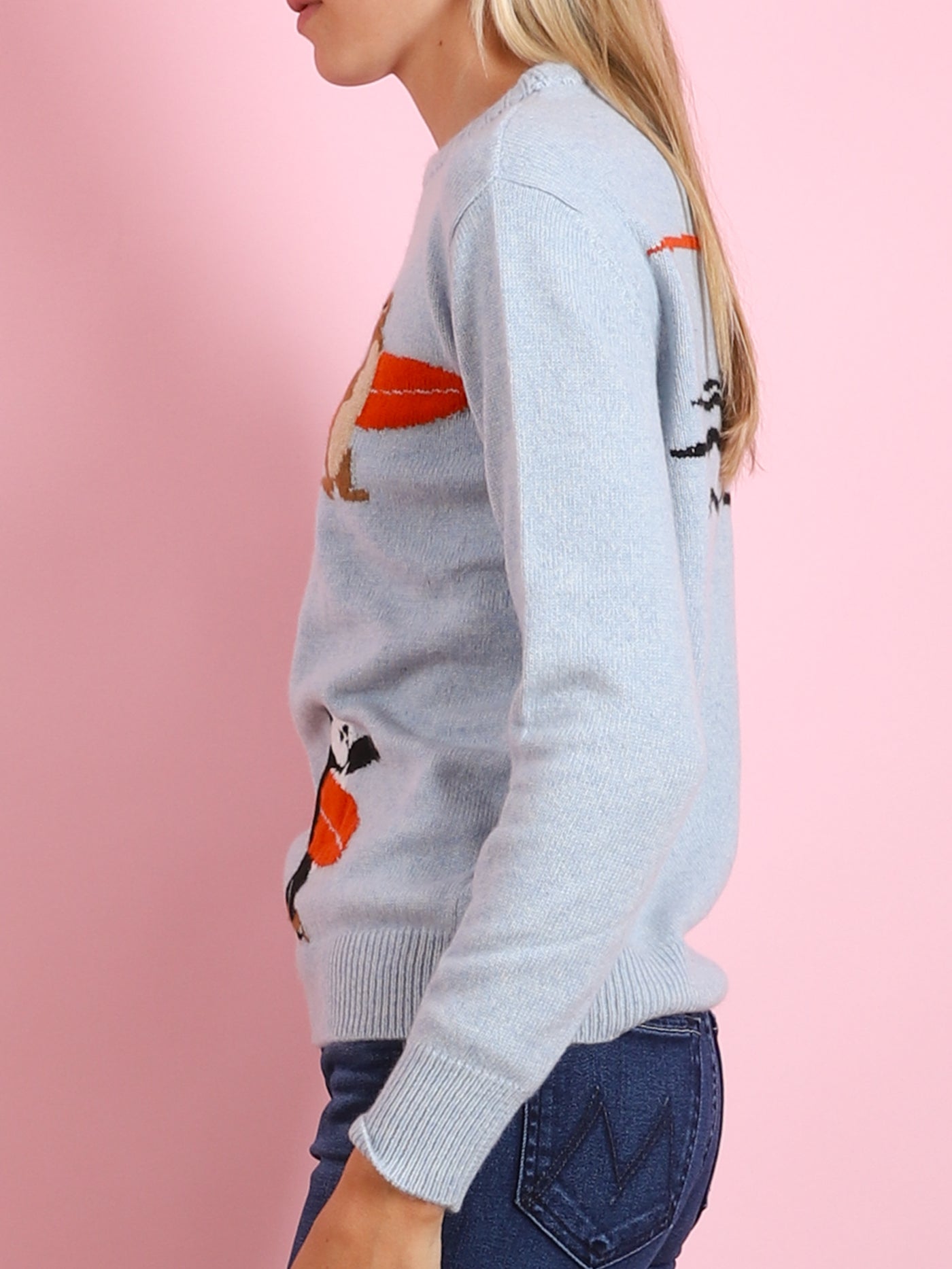 Animals Surfing Crewneck