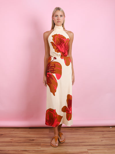 BEST OF TIMES ANKLE DRESS