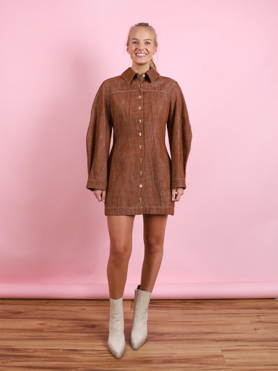 Mutton Sleeve Mini Dress