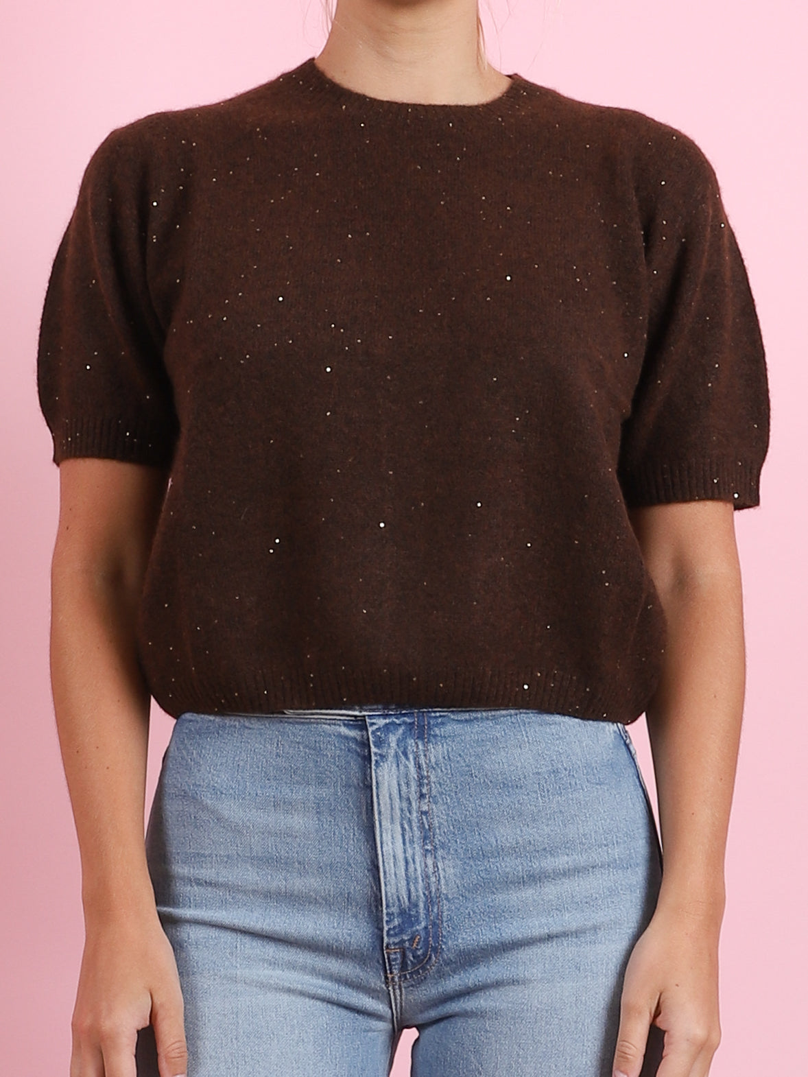Short Sleeve Sparkle RD Sweater