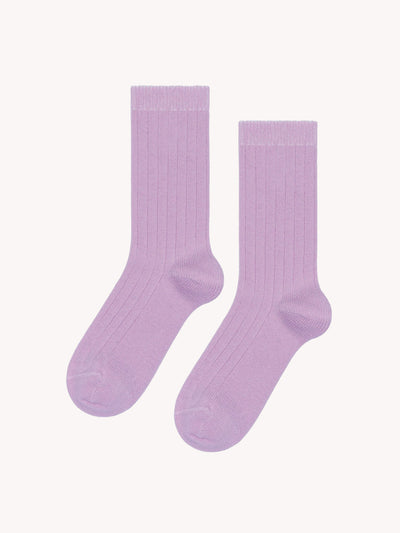 Italia Cozy Rib Crew Socks